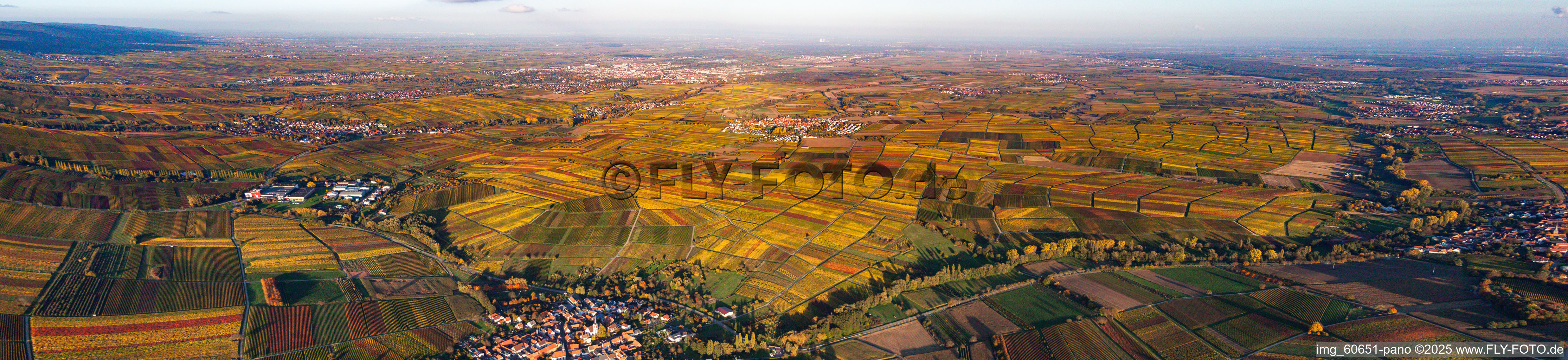 Vue aérienne de Panorama des vignobles de la route des vins du sud de Heuchelheim à Landau à Göcklingen dans le département Rhénanie-Palatinat, Allemagne