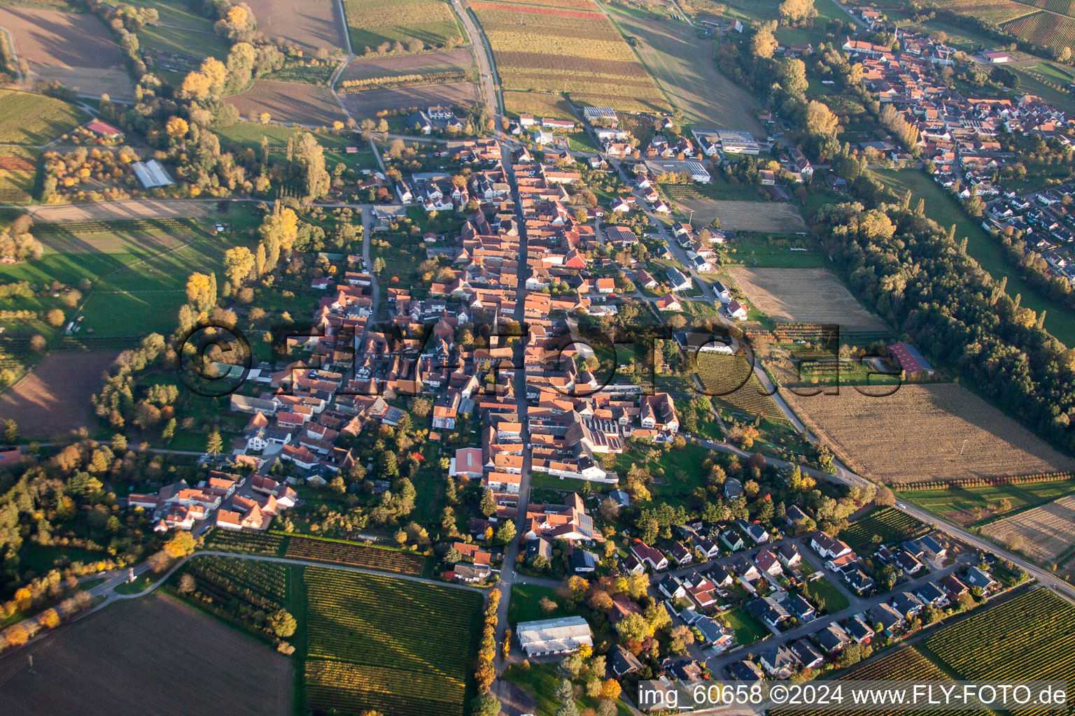 Vue aérienne de Vue sur le village à le quartier Heuchelheim in Heuchelheim-Klingen dans le département Rhénanie-Palatinat, Allemagne