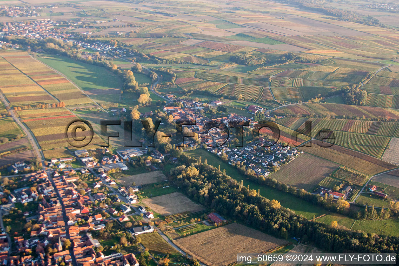 Vue d'oiseau de Quartier Klingen in Heuchelheim-Klingen dans le département Rhénanie-Palatinat, Allemagne