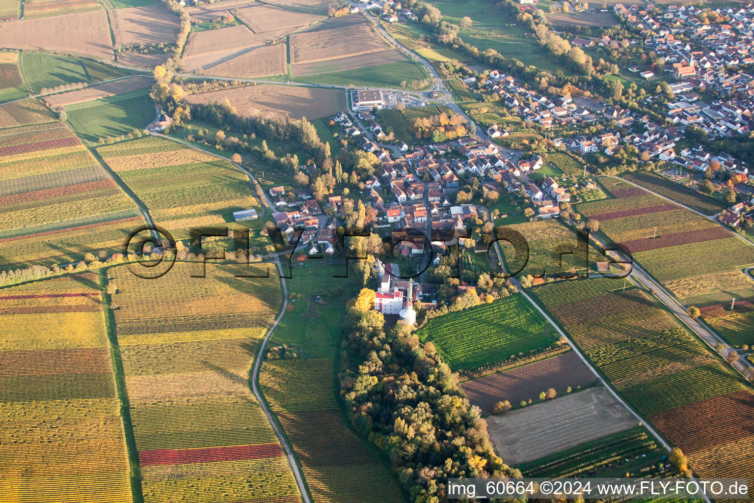 Vue aérienne de Vue sur le village à le quartier Appenhofen in Billigheim-Ingenheim dans le département Rhénanie-Palatinat, Allemagne