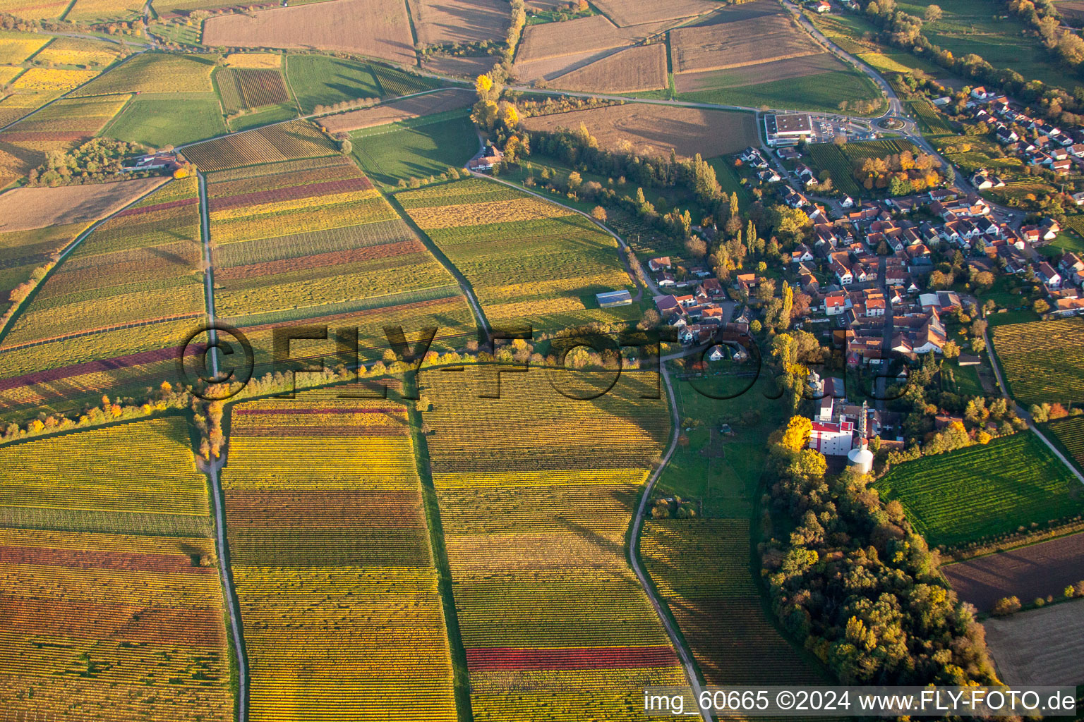 Quartier Appenhofen in Billigheim-Ingenheim dans le département Rhénanie-Palatinat, Allemagne depuis l'avion