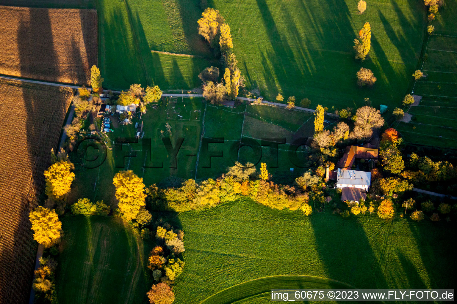 Vue aérienne de Quartier Billigheim in Billigheim-Ingenheim dans le département Rhénanie-Palatinat, Allemagne