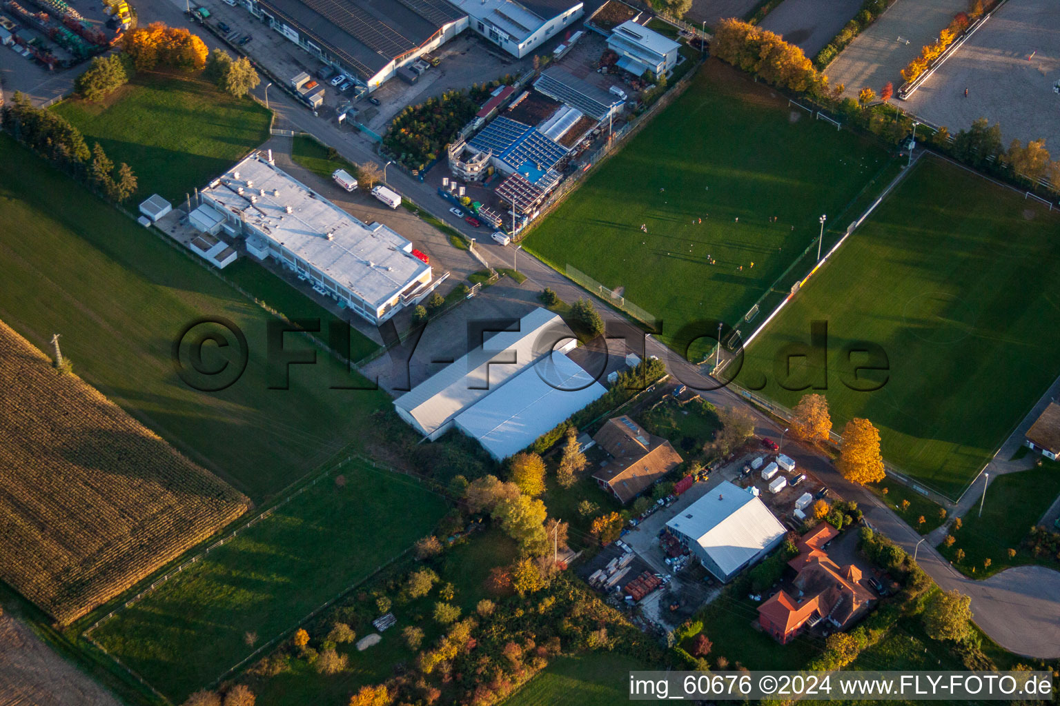 Photographie aérienne de Quartier Billigheim in Billigheim-Ingenheim dans le département Rhénanie-Palatinat, Allemagne