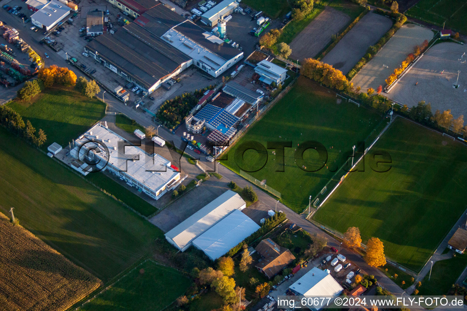 Vue oblique de Quartier Billigheim in Billigheim-Ingenheim dans le département Rhénanie-Palatinat, Allemagne