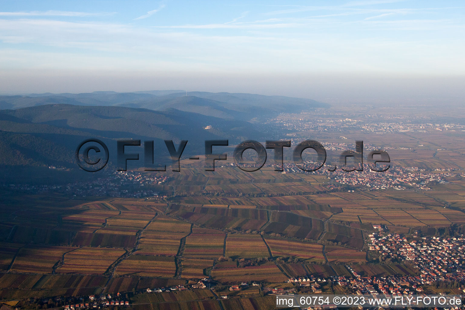 Edenkoben dans le département Rhénanie-Palatinat, Allemagne vue d'en haut