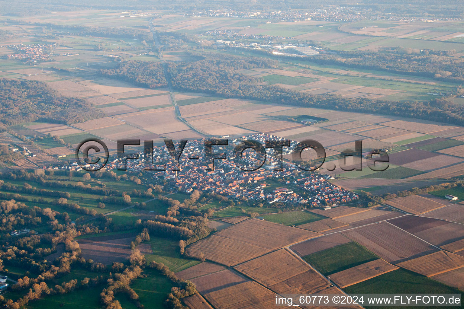 Vue d'oiseau de Steinweiler dans le département Rhénanie-Palatinat, Allemagne