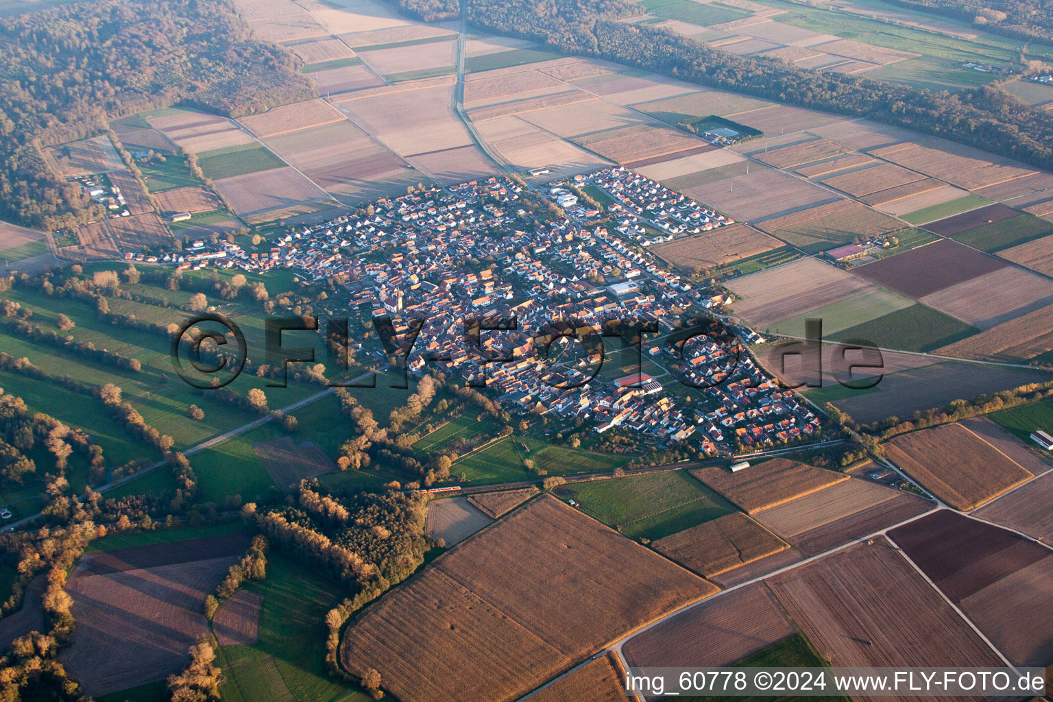 Steinweiler dans le département Rhénanie-Palatinat, Allemagne vue du ciel