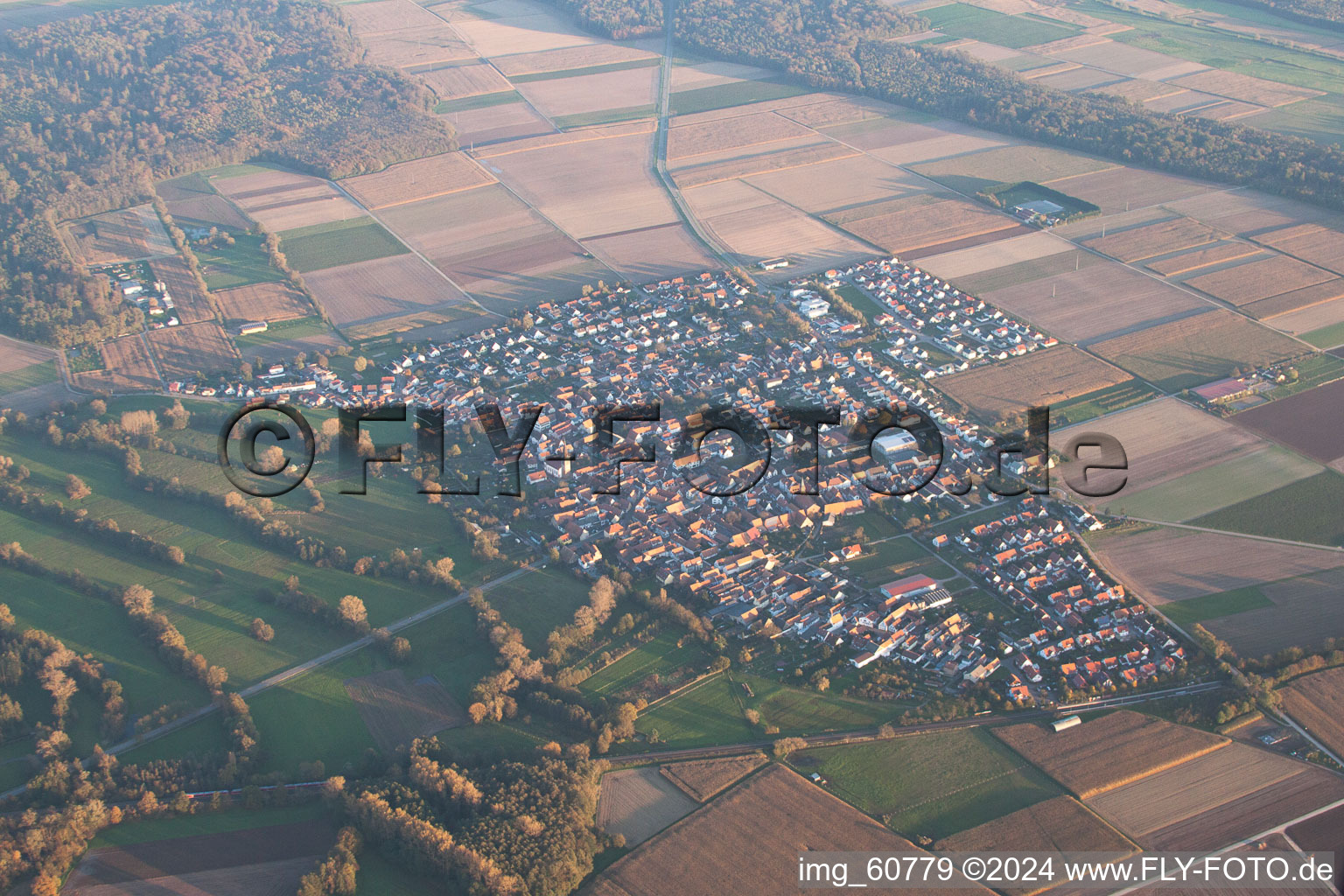 Enregistrement par drone de Steinweiler dans le département Rhénanie-Palatinat, Allemagne