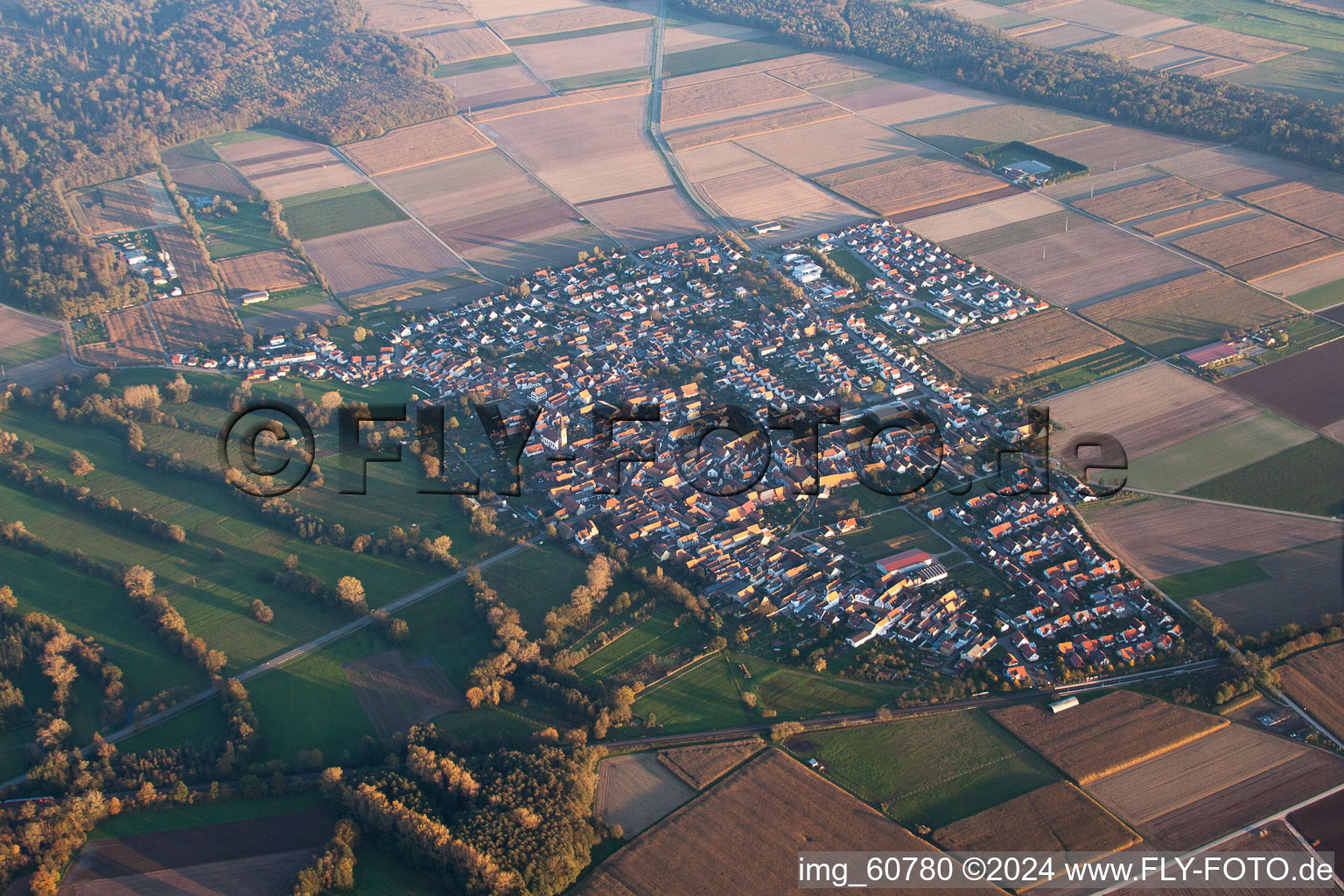 Image drone de Steinweiler dans le département Rhénanie-Palatinat, Allemagne