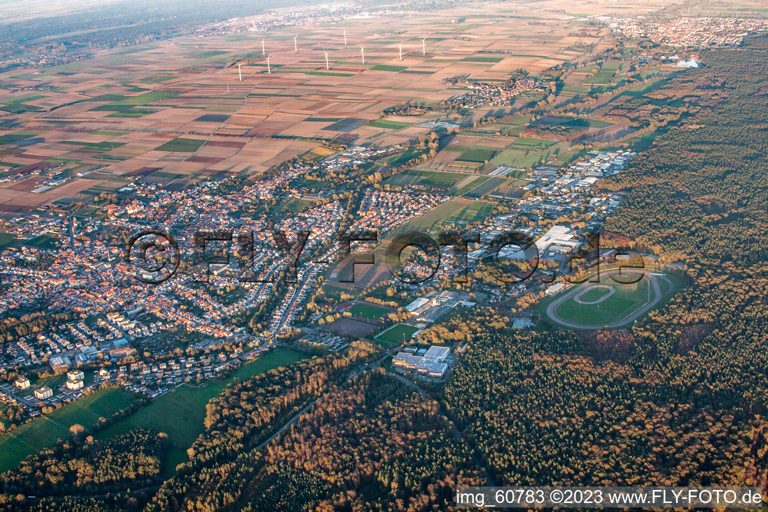 Vue aérienne de Quartier Herxheim in Herxheim bei Landau dans le département Rhénanie-Palatinat, Allemagne