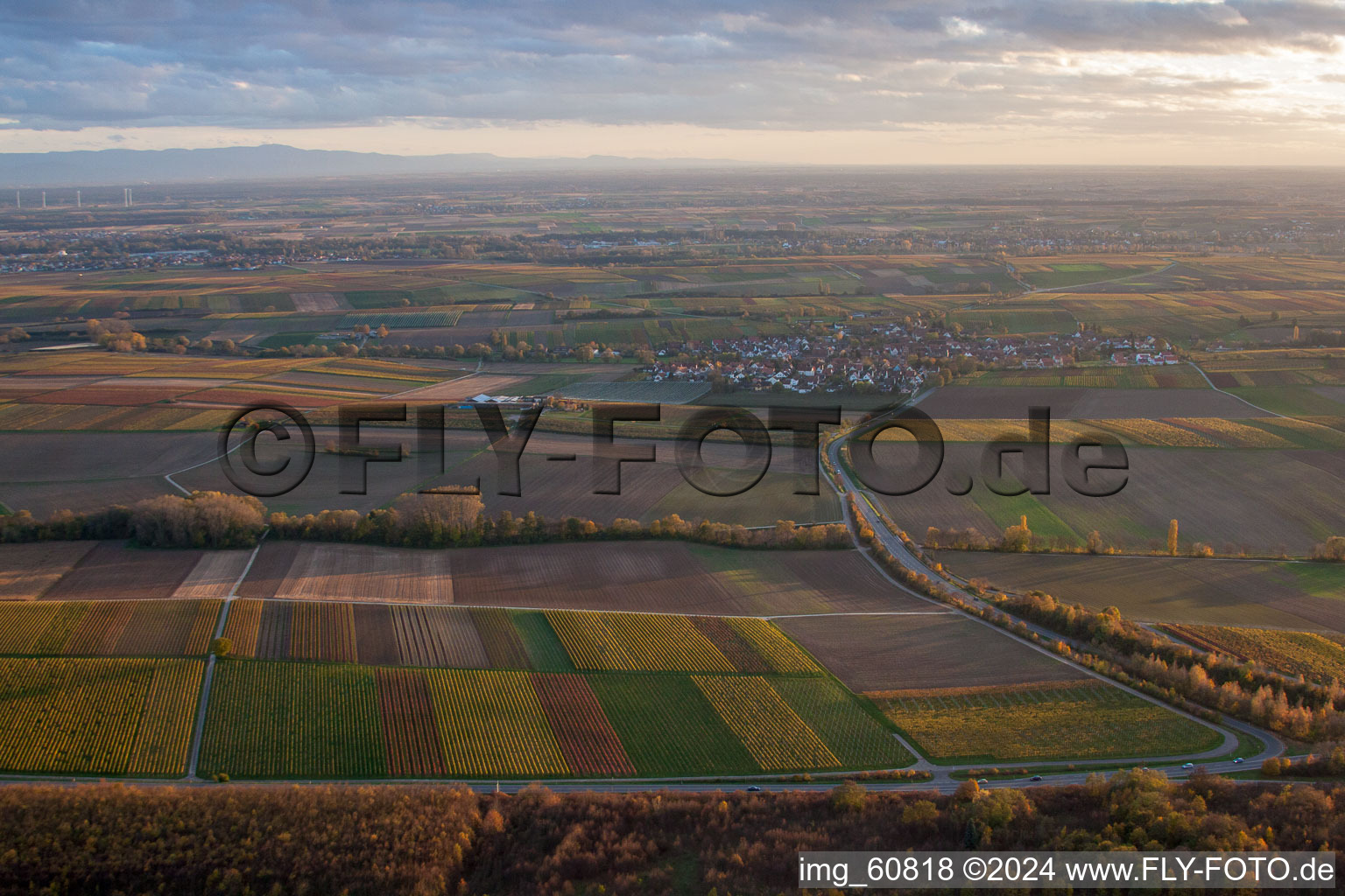 Landau in der Pfalz dans le département Rhénanie-Palatinat, Allemagne vue du ciel