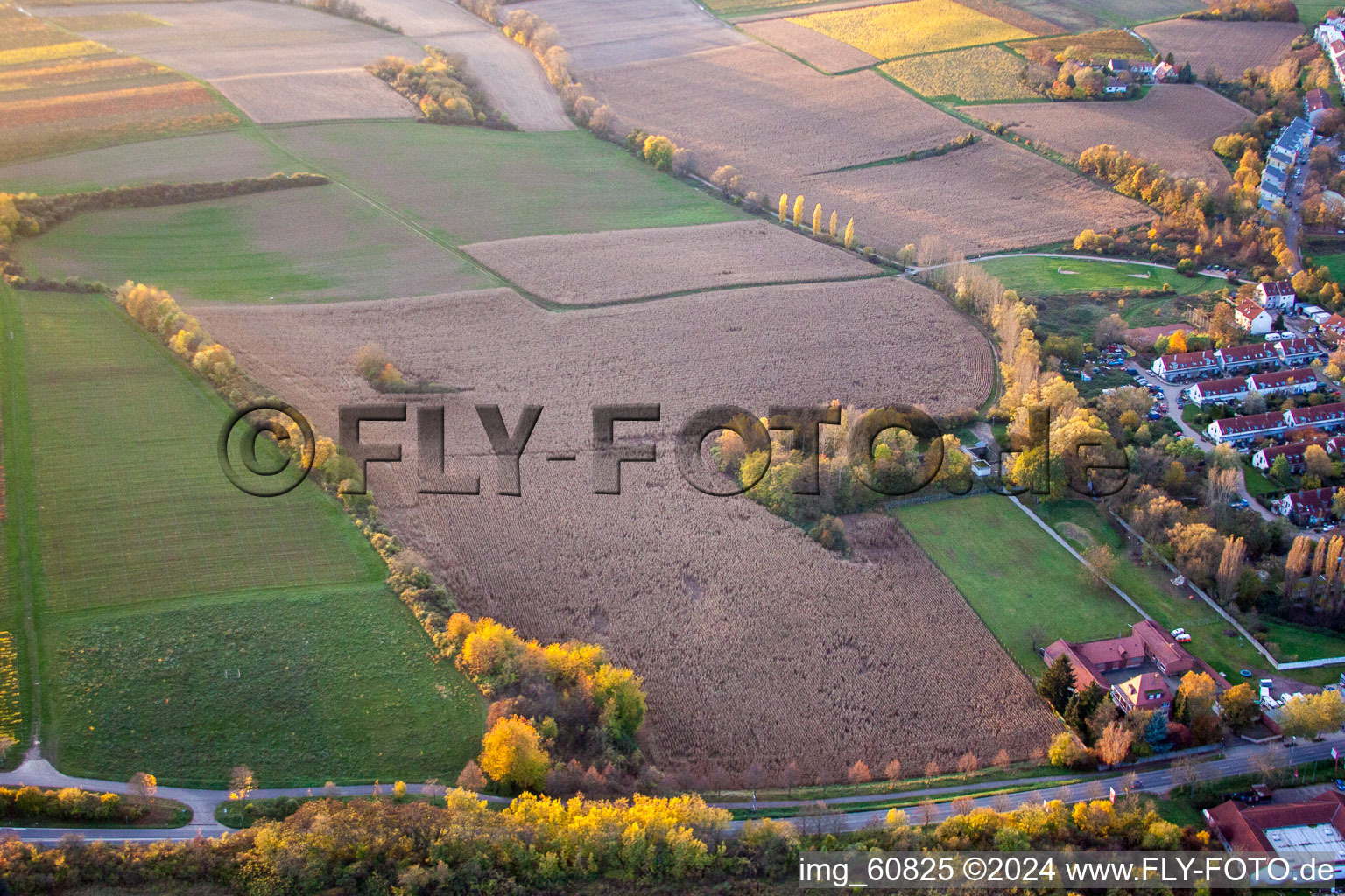 Enregistrement par drone de Landau in der Pfalz dans le département Rhénanie-Palatinat, Allemagne