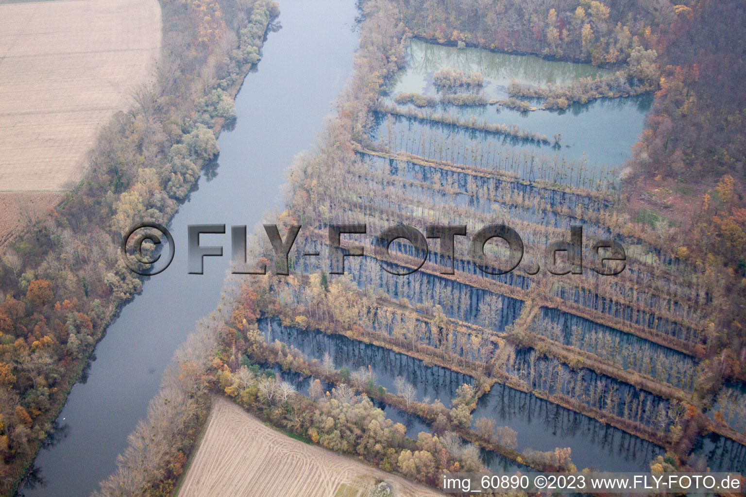 Vue aérienne de Vieux Rhin à le quartier Sondernheim in Germersheim dans le département Rhénanie-Palatinat, Allemagne