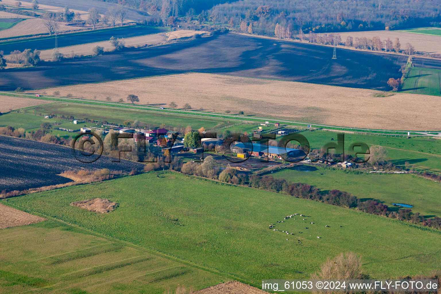 Vue oblique de Ferme aux cigognes à le quartier Rußheim in Dettenheim dans le département Bade-Wurtemberg, Allemagne