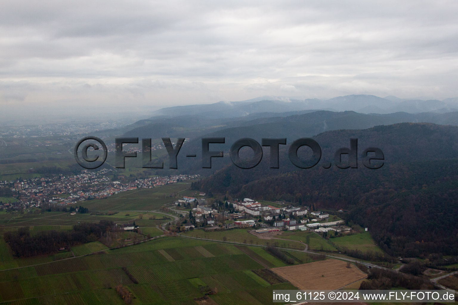 Vue aérienne de Du nord à Klingenmünster dans le département Rhénanie-Palatinat, Allemagne