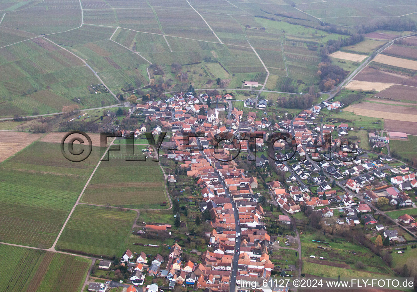 Photographie aérienne de Göcklingen dans le département Rhénanie-Palatinat, Allemagne