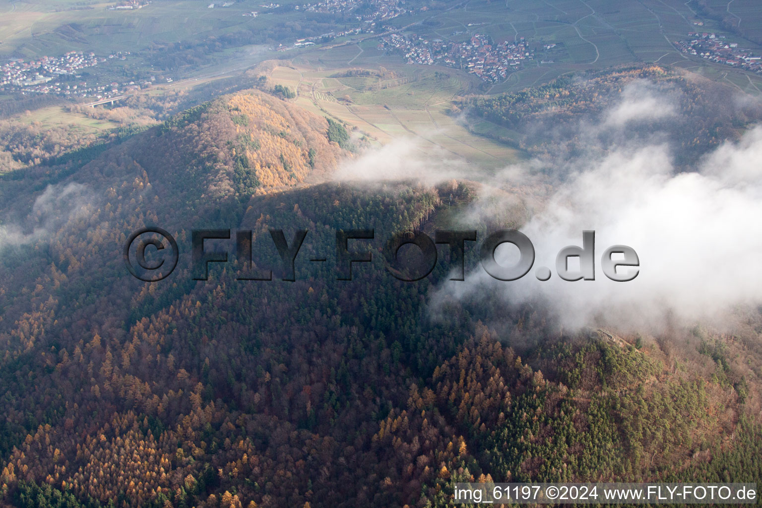 Vue aérienne de Hohenberg à Annweiler am Trifels dans le département Rhénanie-Palatinat, Allemagne