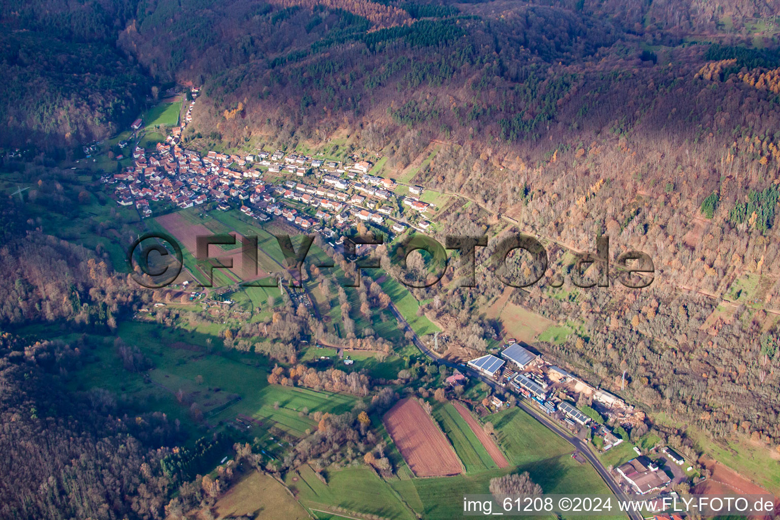 Annweiler am Trifels dans le département Rhénanie-Palatinat, Allemagne vue du ciel