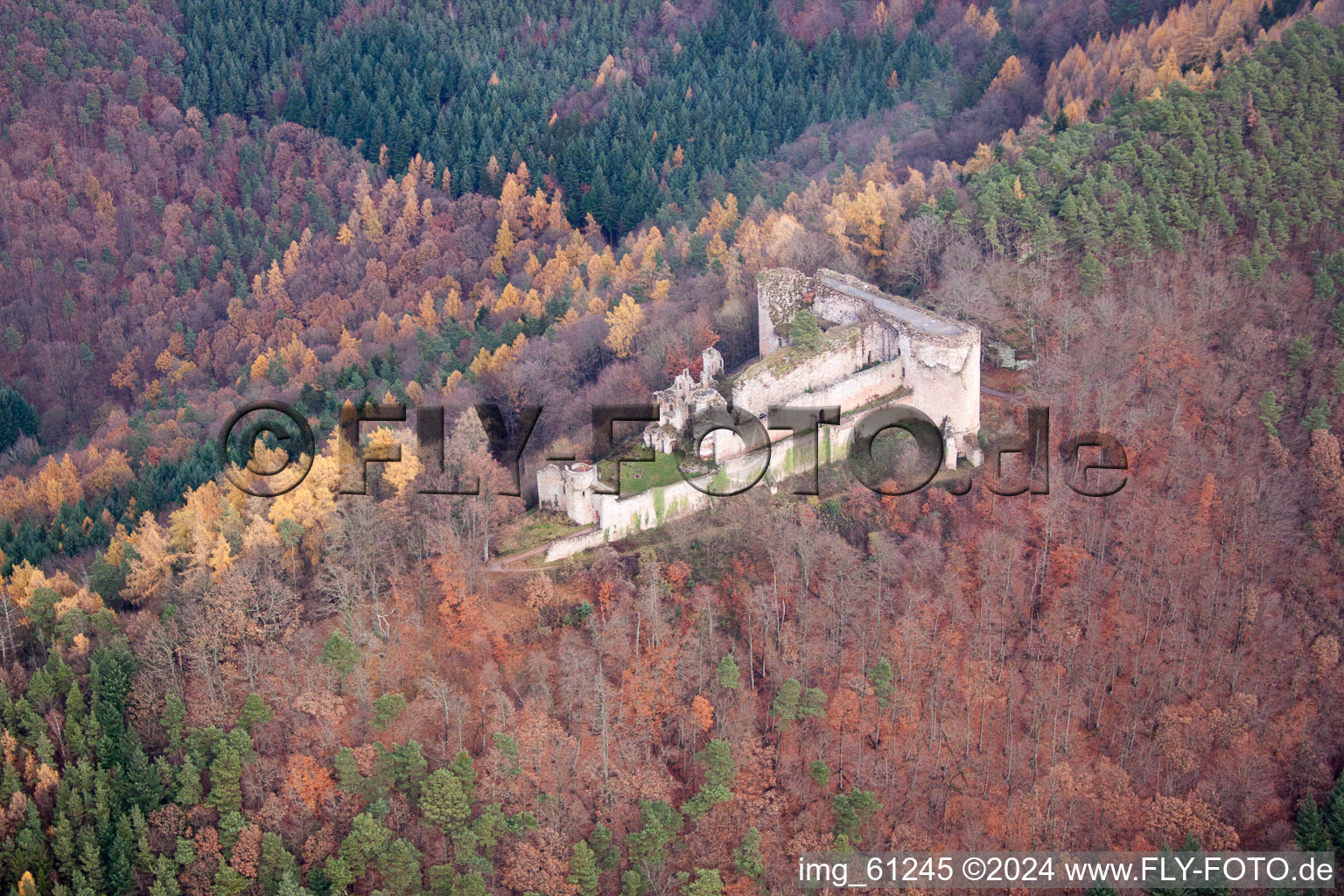 Vue aérienne de Ruines et vestiges des murs de l'ancien complexe du château et de la forteresse de Neuscharfeneck dans la forêt aux couleurs automnales à Flemlingen dans le département Rhénanie-Palatinat, Allemagne