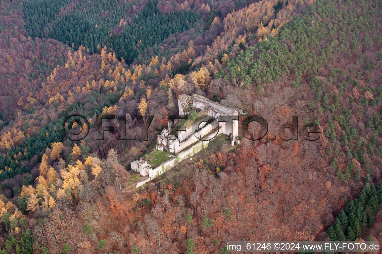 Vue aérienne de Ruines et vestiges des murs de l'ancien complexe du château et de la forteresse du château de Neuscharfeneck à Dernbach dans le département Rhénanie-Palatinat, Allemagne