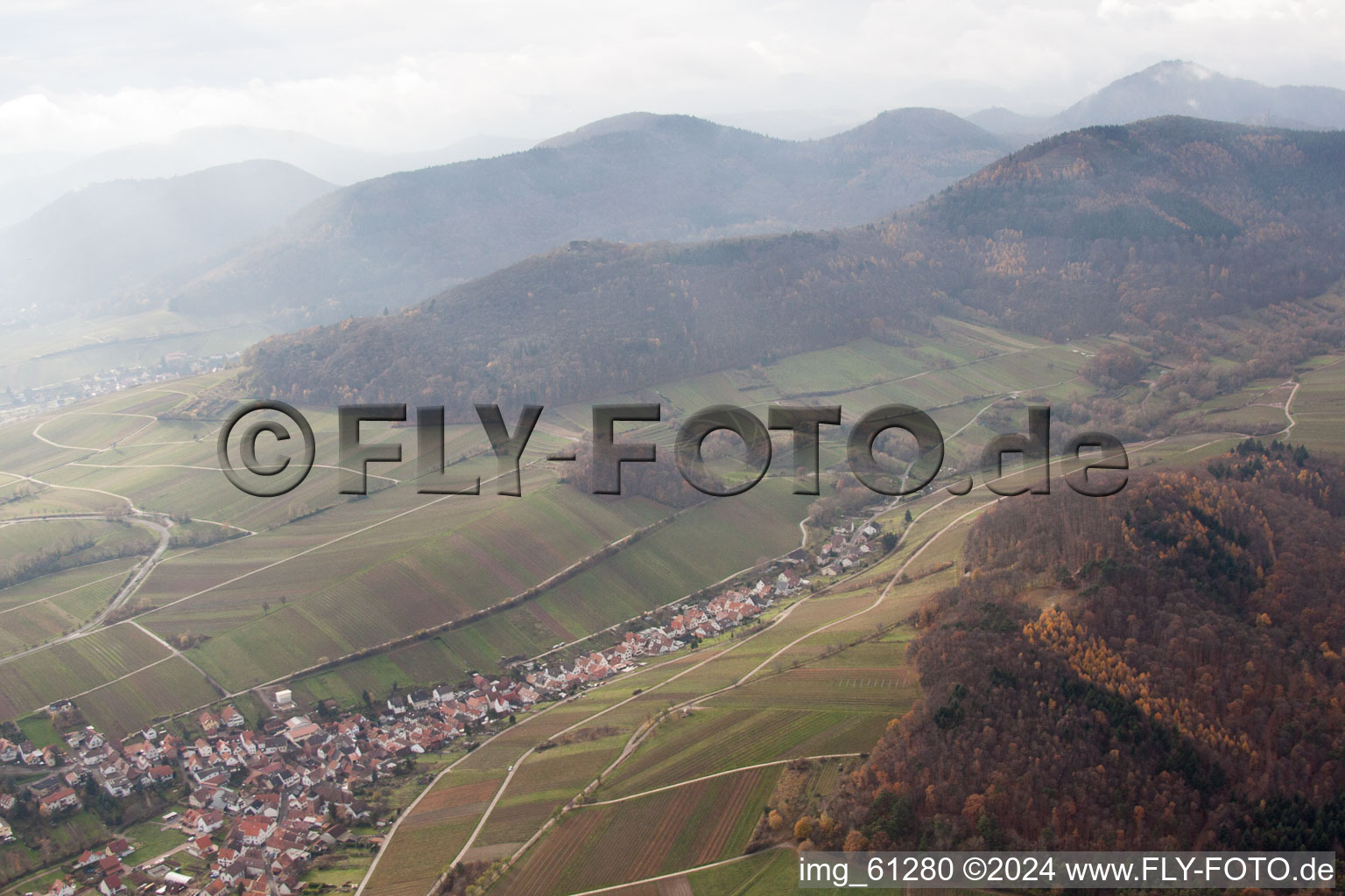 Vue oblique de Birkweiler dans le département Rhénanie-Palatinat, Allemagne