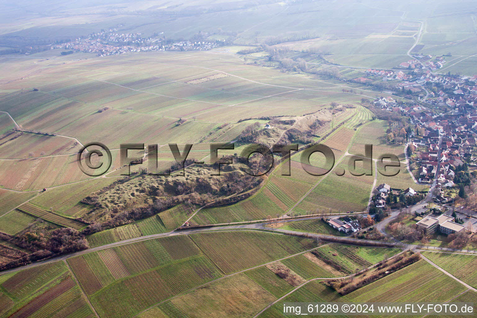 Photographie aérienne de Petit kalmit à Ilbesheim bei Landau in der Pfalz dans le département Rhénanie-Palatinat, Allemagne