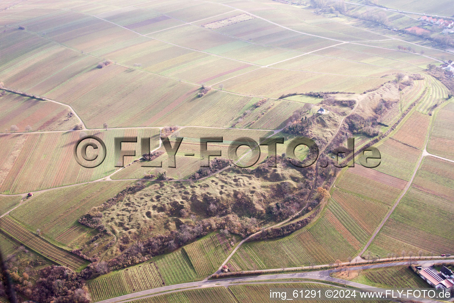 Vue oblique de Petit kalmit à Ilbesheim bei Landau in der Pfalz dans le département Rhénanie-Palatinat, Allemagne