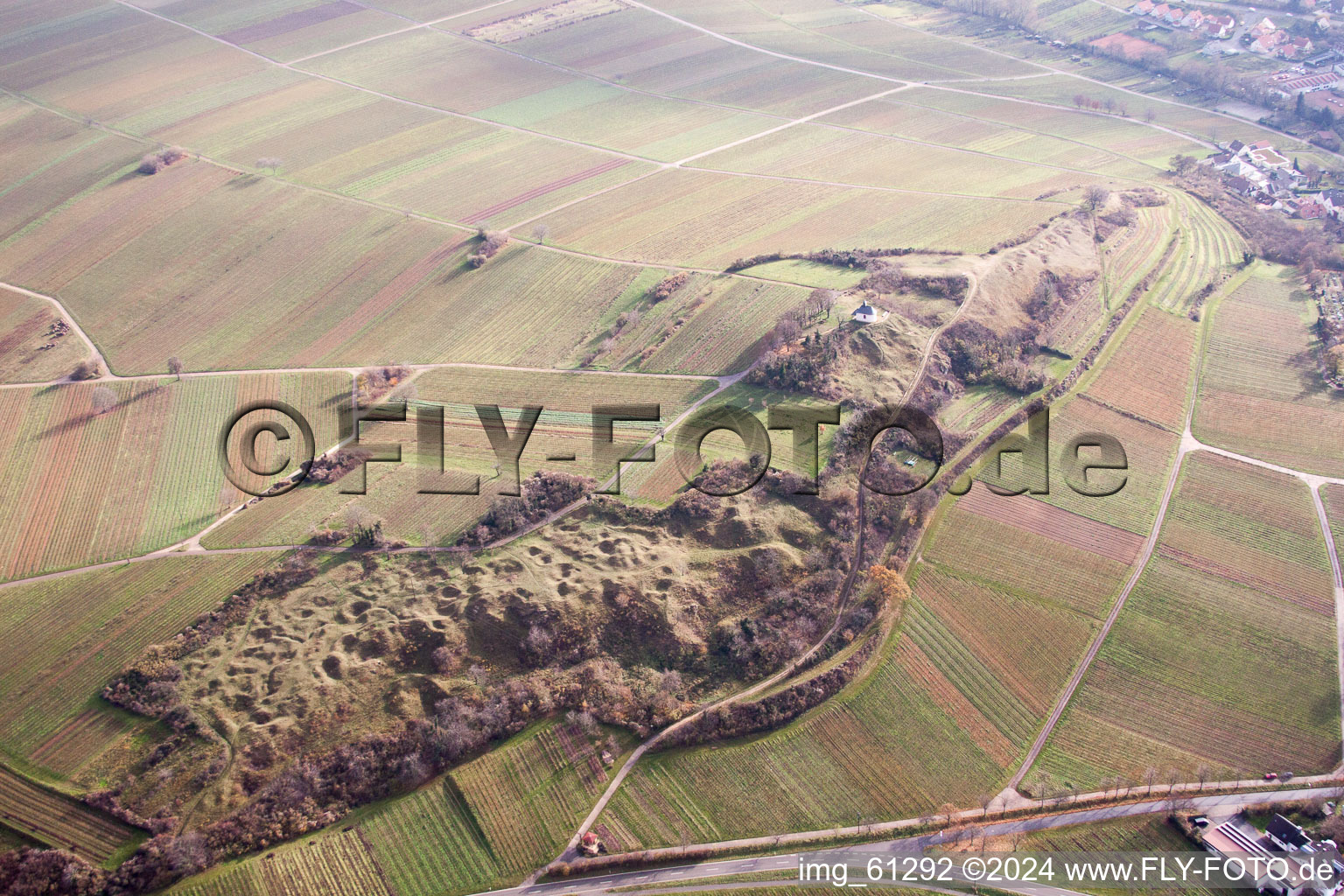 Petit kalmit à Ilbesheim bei Landau in der Pfalz dans le département Rhénanie-Palatinat, Allemagne d'en haut