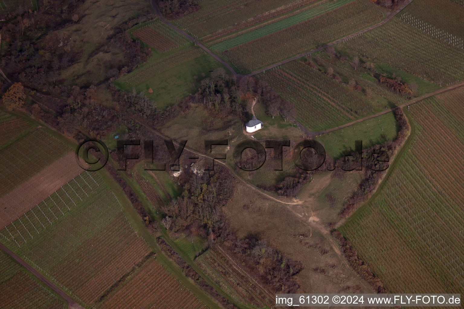 Petit kalmit à Ilbesheim bei Landau in der Pfalz dans le département Rhénanie-Palatinat, Allemagne vue d'en haut