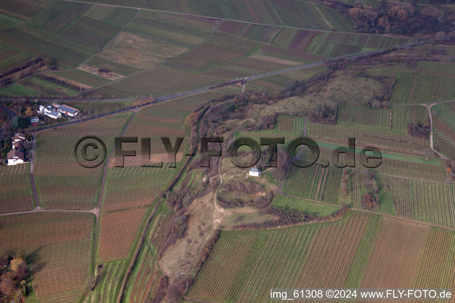 Petit kalmit à Ilbesheim bei Landau in der Pfalz dans le département Rhénanie-Palatinat, Allemagne depuis l'avion