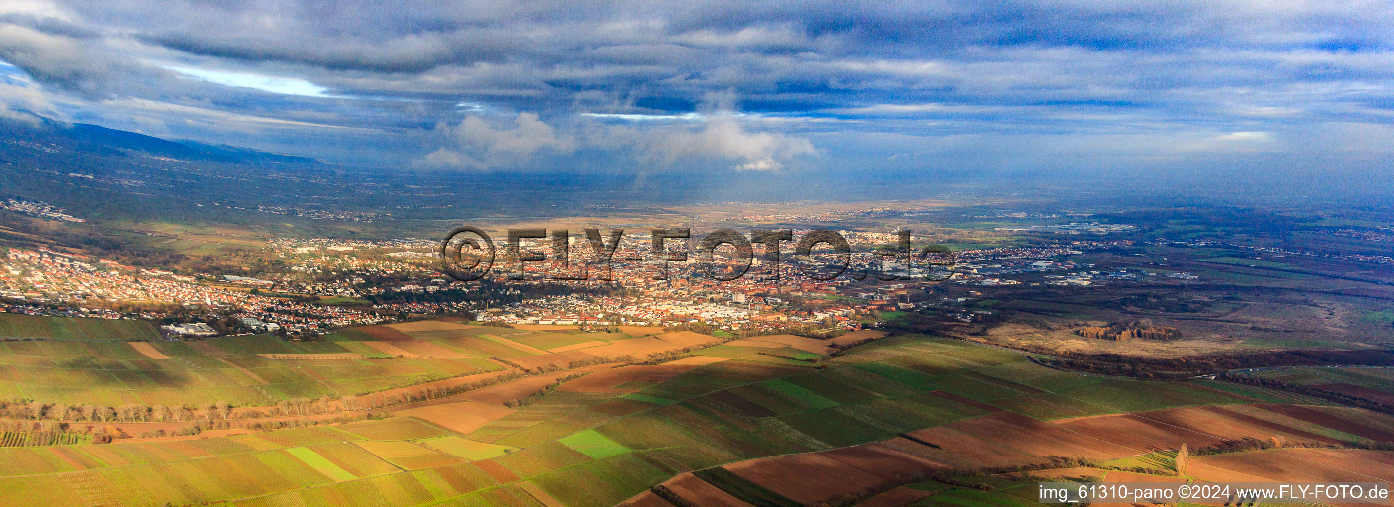 Vue aérienne de Panorama de la ville en hiver depuis le sud à Landau in der Pfalz dans le département Rhénanie-Palatinat, Allemagne