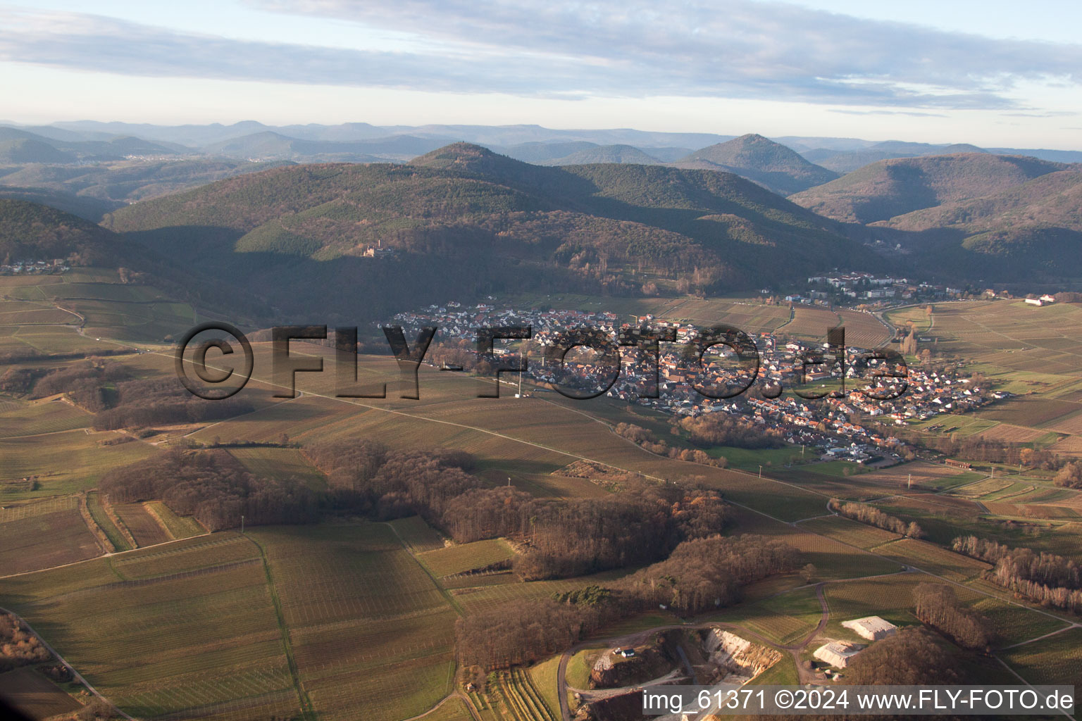 Klingenmünster dans le département Rhénanie-Palatinat, Allemagne vue du ciel