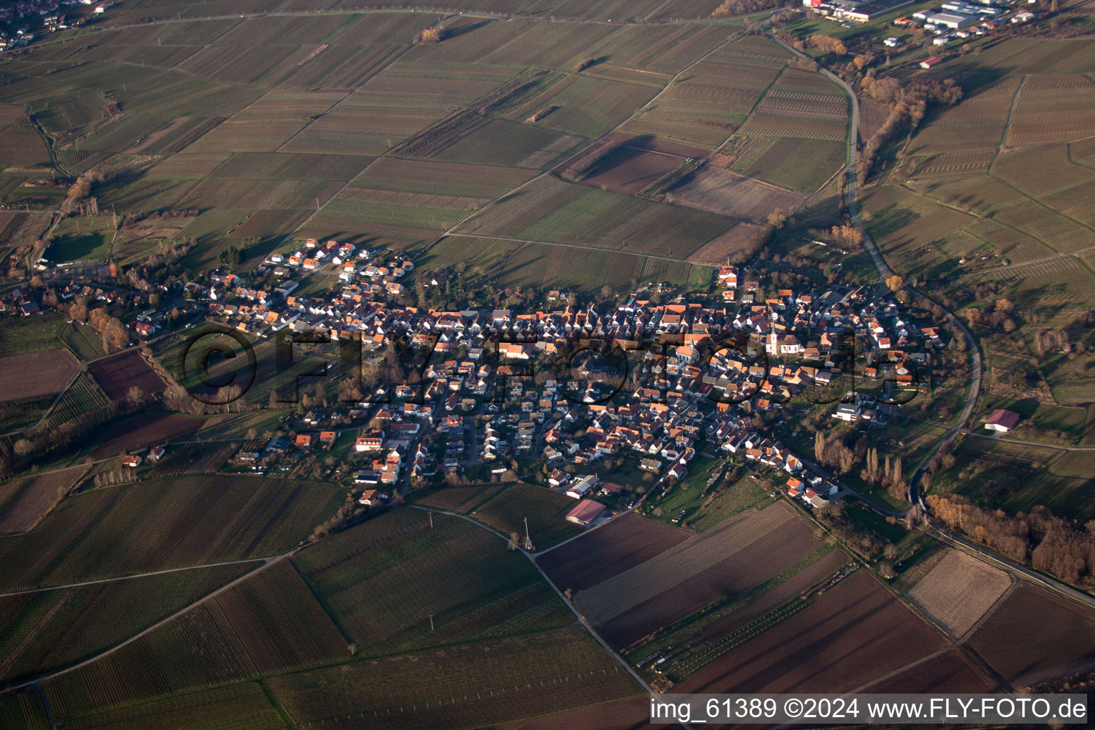 Vue oblique de Göcklingen dans le département Rhénanie-Palatinat, Allemagne