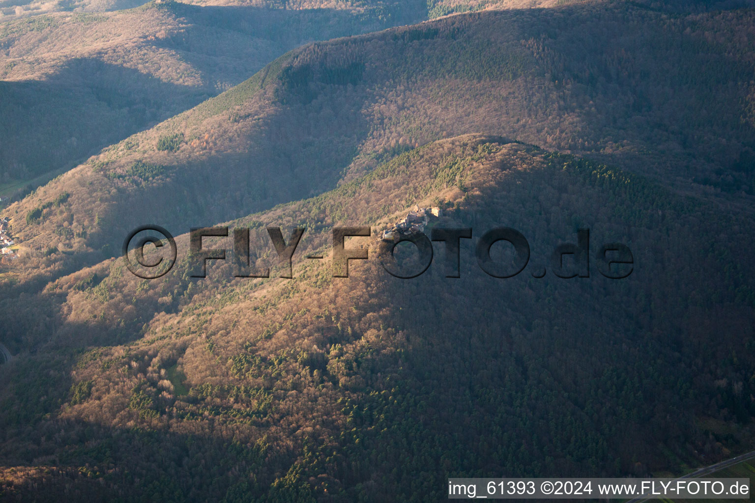 Photographie aérienne de Ruines du château de Madenburg en hiver avec de la neige à Eschbach dans le département Rhénanie-Palatinat, Allemagne