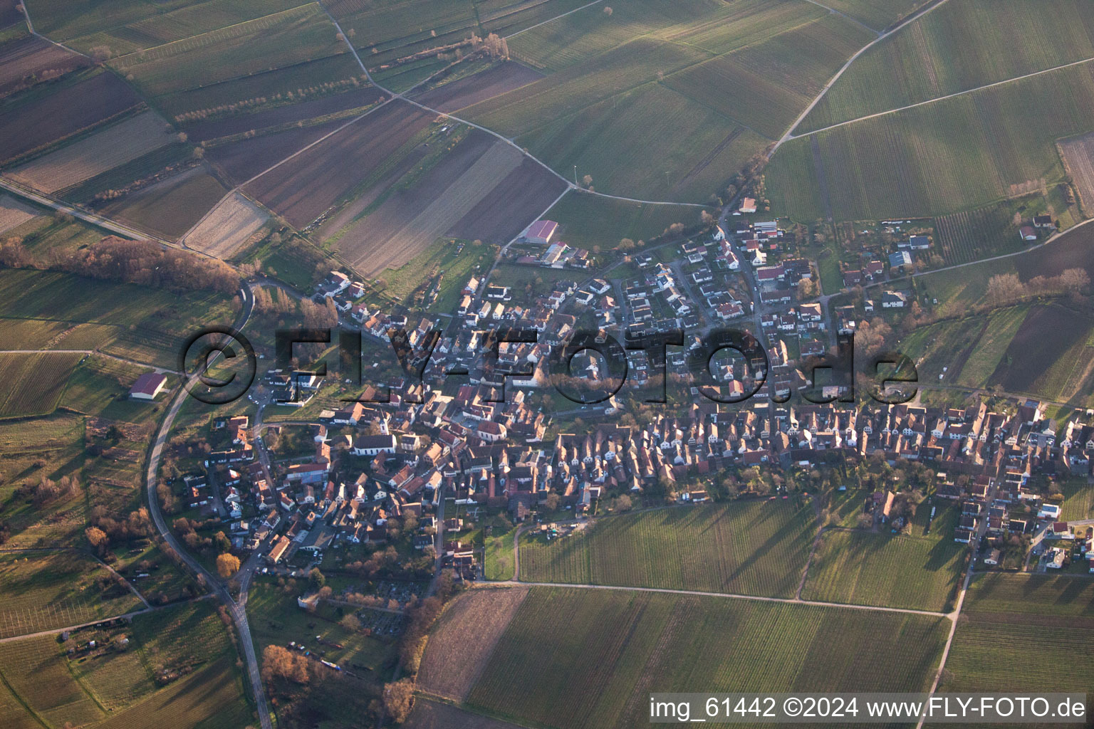 Göcklingen dans le département Rhénanie-Palatinat, Allemagne d'en haut