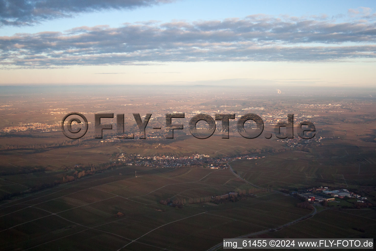 Vue aérienne de Logiciel à Landau in der Pfalz dans le département Rhénanie-Palatinat, Allemagne