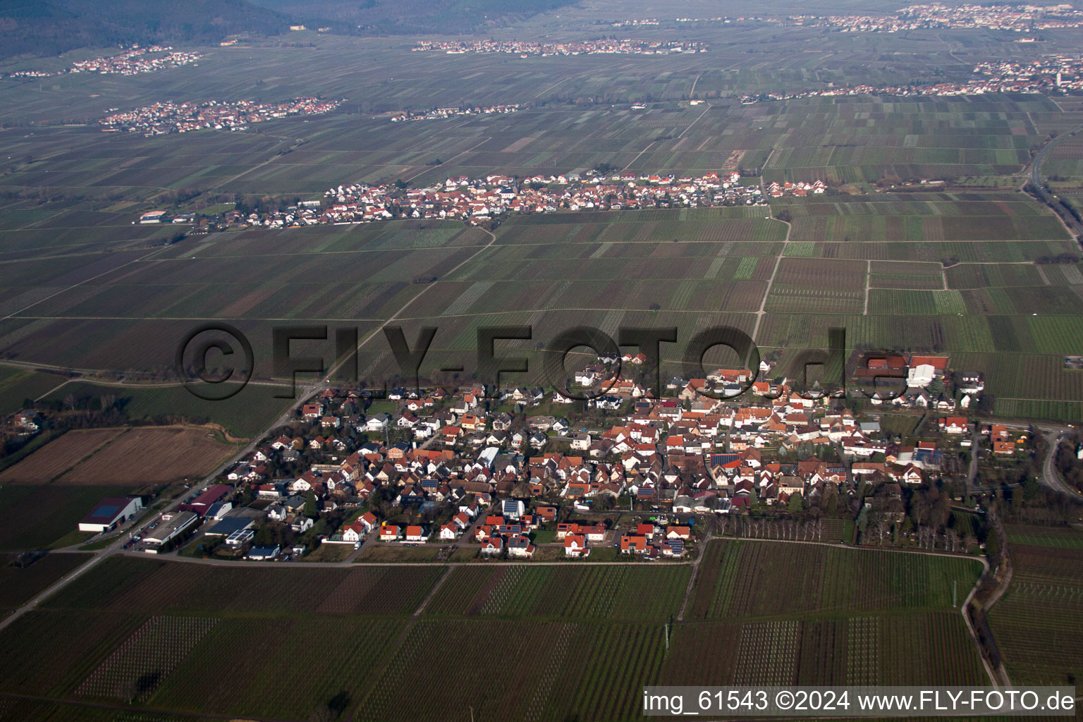 Walsheim dans le département Rhénanie-Palatinat, Allemagne vue d'en haut