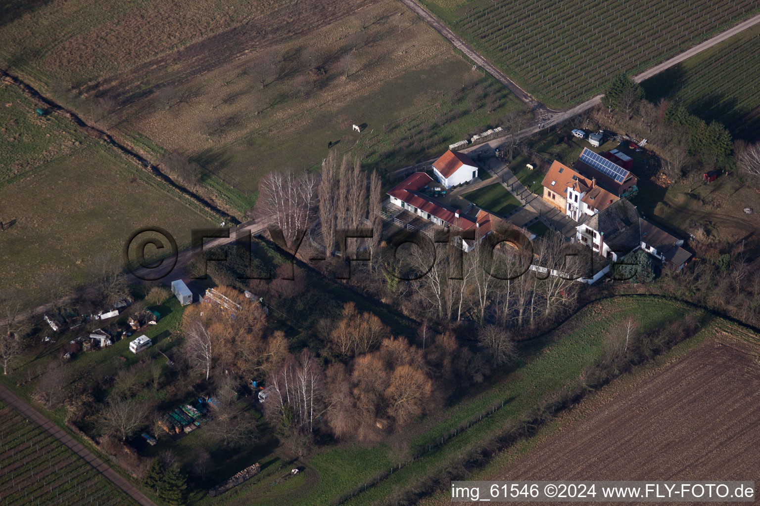 Walsheim dans le département Rhénanie-Palatinat, Allemagne vue du ciel