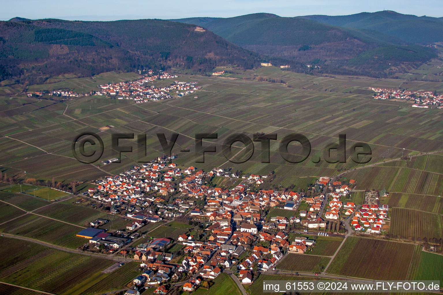 Photographie aérienne de Vignobles à Hainfeld dans le département Rhénanie-Palatinat, Allemagne