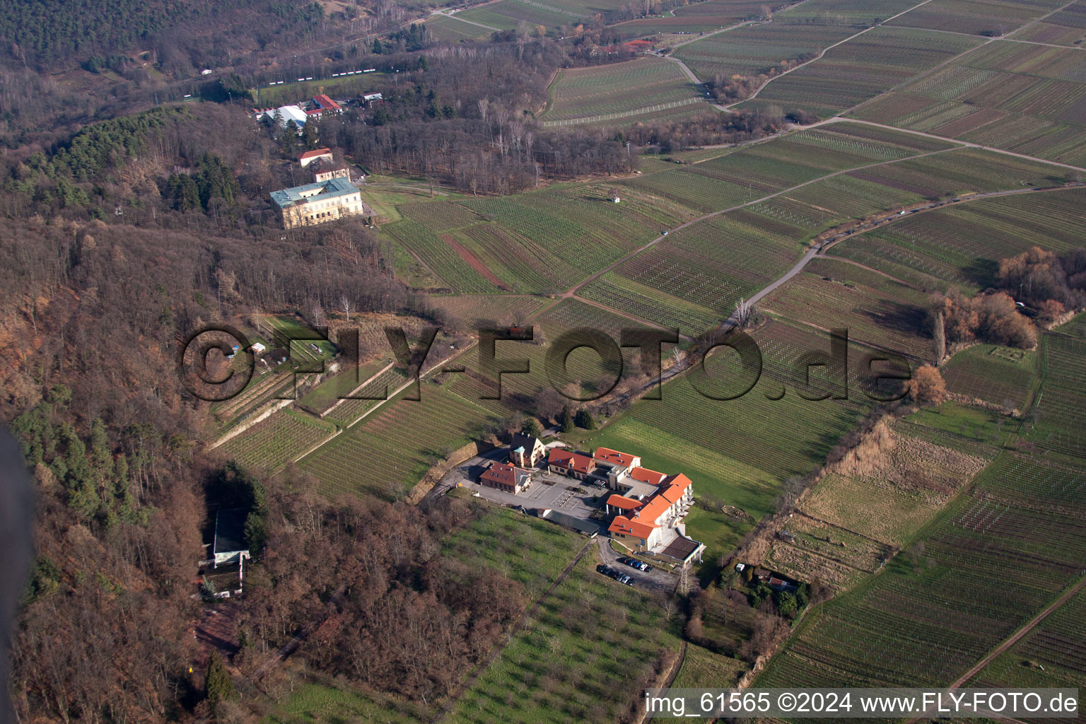 Vue aérienne de Hôtel de bien-être Alte Rebschule et Villa Ludwigshöhe à Weyher in der Pfalz dans le département Rhénanie-Palatinat, Allemagne