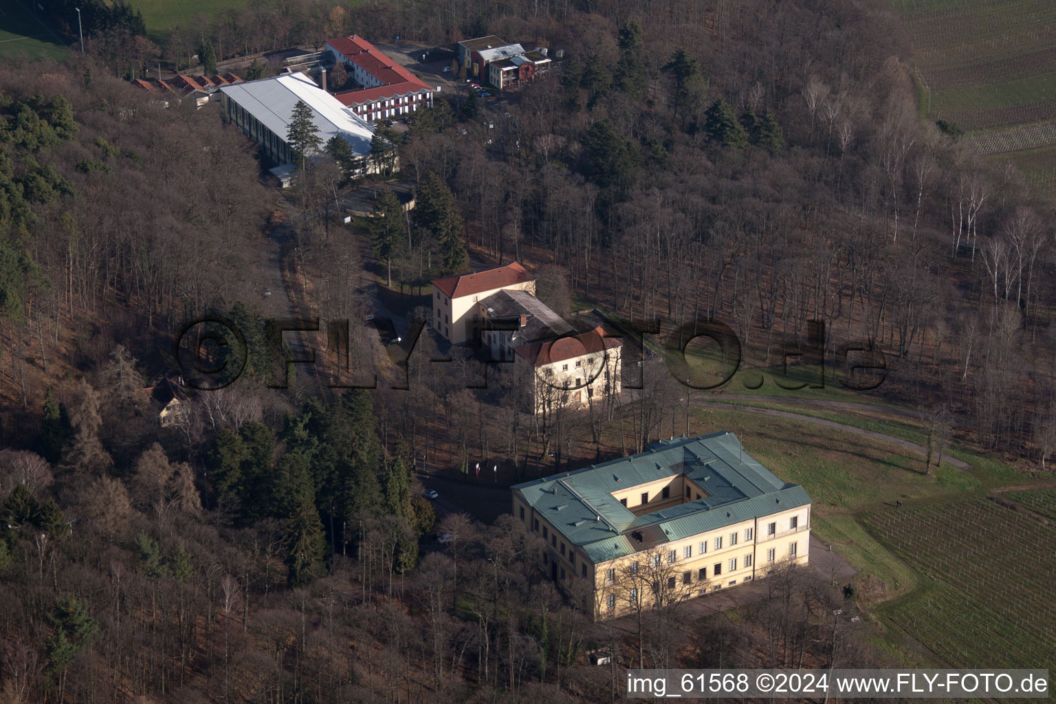 Vue aérienne de Villa Ludwigshöhe à Weyher in der Pfalz dans le département Rhénanie-Palatinat, Allemagne