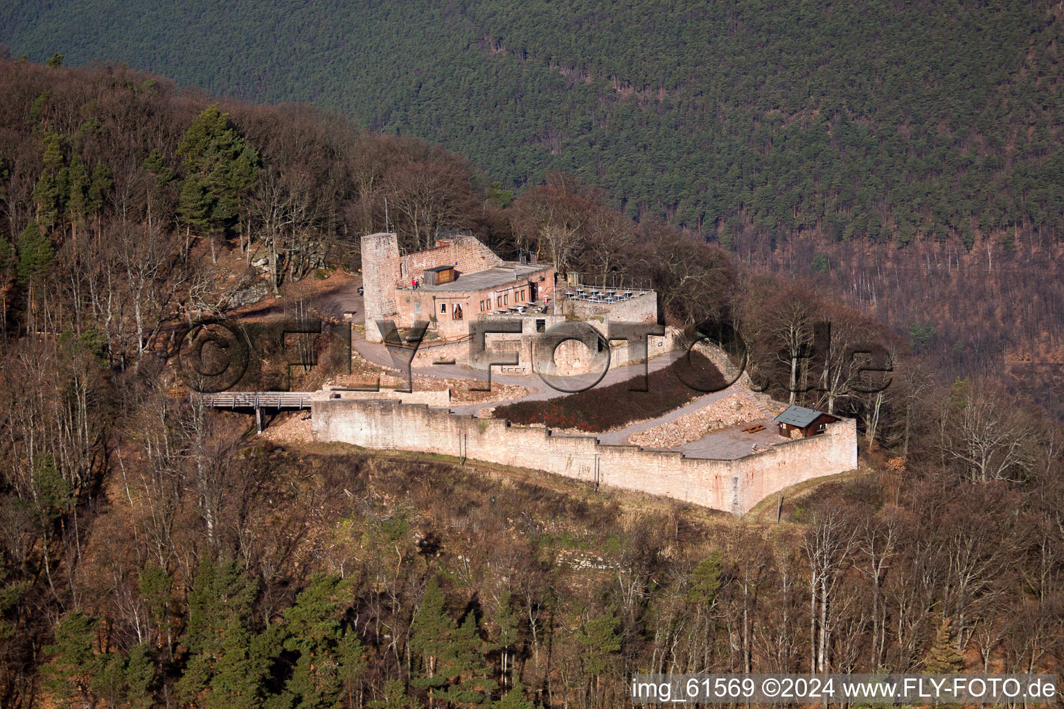 Vue aérienne de Ruines du château de Rietburg à le quartier Rhodt in Rhodt unter Rietburg dans le département Rhénanie-Palatinat, Allemagne