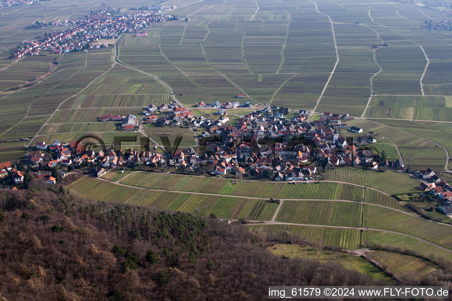 Weyher in der Pfalz dans le département Rhénanie-Palatinat, Allemagne d'en haut