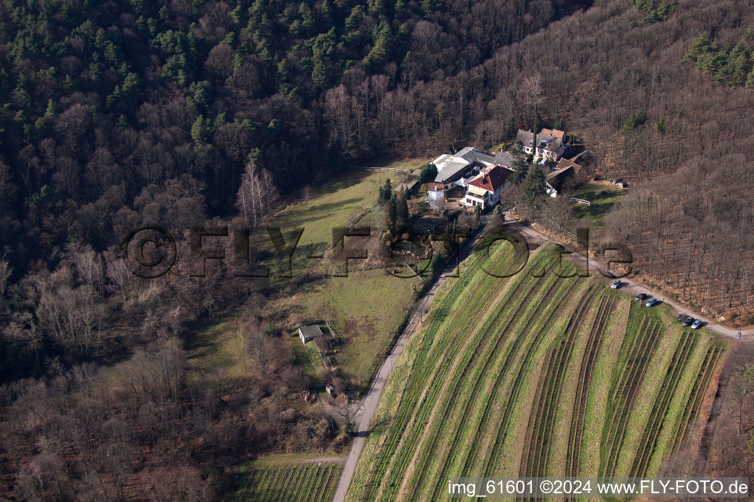 Vue aérienne de Burrweiler, Buschmühle à Buschmühle dans le département Rhénanie-Palatinat, Allemagne