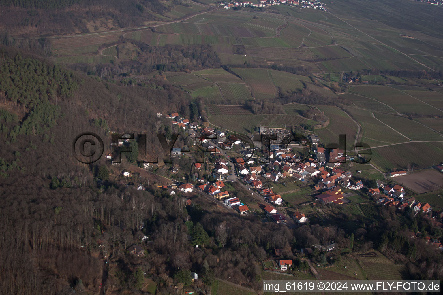 Gleisweiler dans le département Rhénanie-Palatinat, Allemagne vu d'un drone