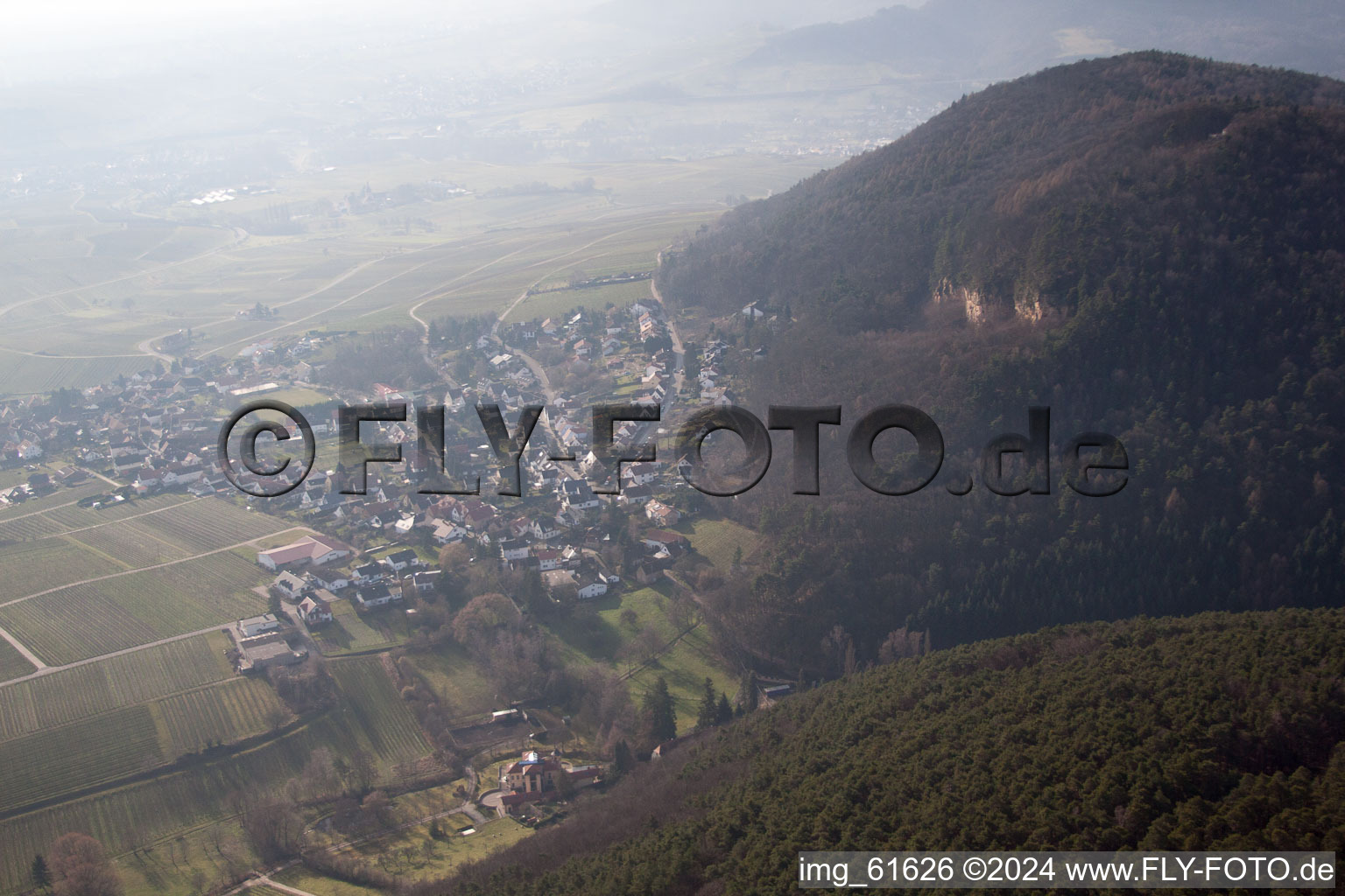 Frankweiler dans le département Rhénanie-Palatinat, Allemagne depuis l'avion