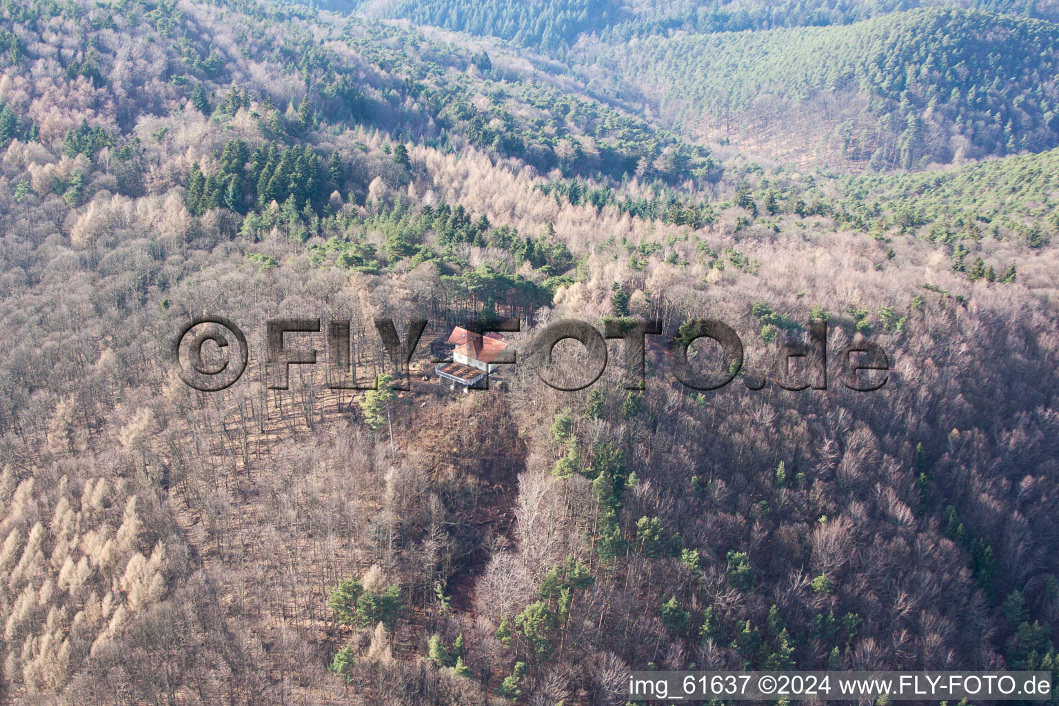 Vue aérienne de Cabane Landauer à Frankweiler dans le département Rhénanie-Palatinat, Allemagne