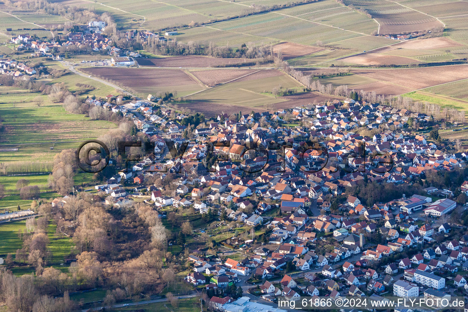Vue des rues et des maisons des quartiers résidentiels à le quartier Ingenheim in Billigheim-Ingenheim dans le département Rhénanie-Palatinat, Allemagne depuis l'avion