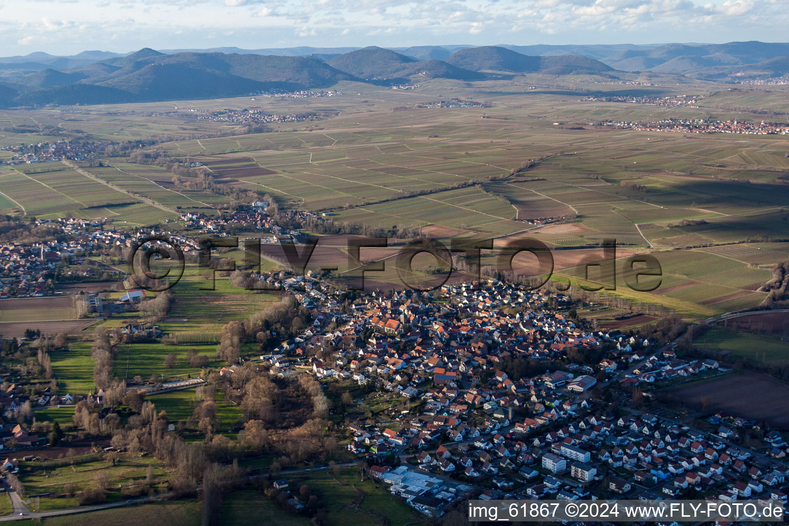 Vue d'oiseau de Vue des rues et des maisons des quartiers résidentiels à le quartier Ingenheim in Billigheim-Ingenheim dans le département Rhénanie-Palatinat, Allemagne