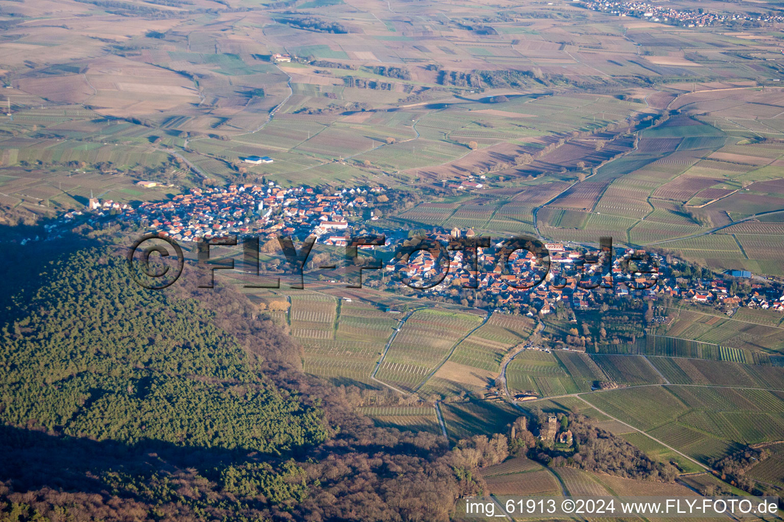 Vue aérienne de Vignoble Sonnenberg à le quartier Schweigen in Schweigen-Rechtenbach dans le département Rhénanie-Palatinat, Allemagne